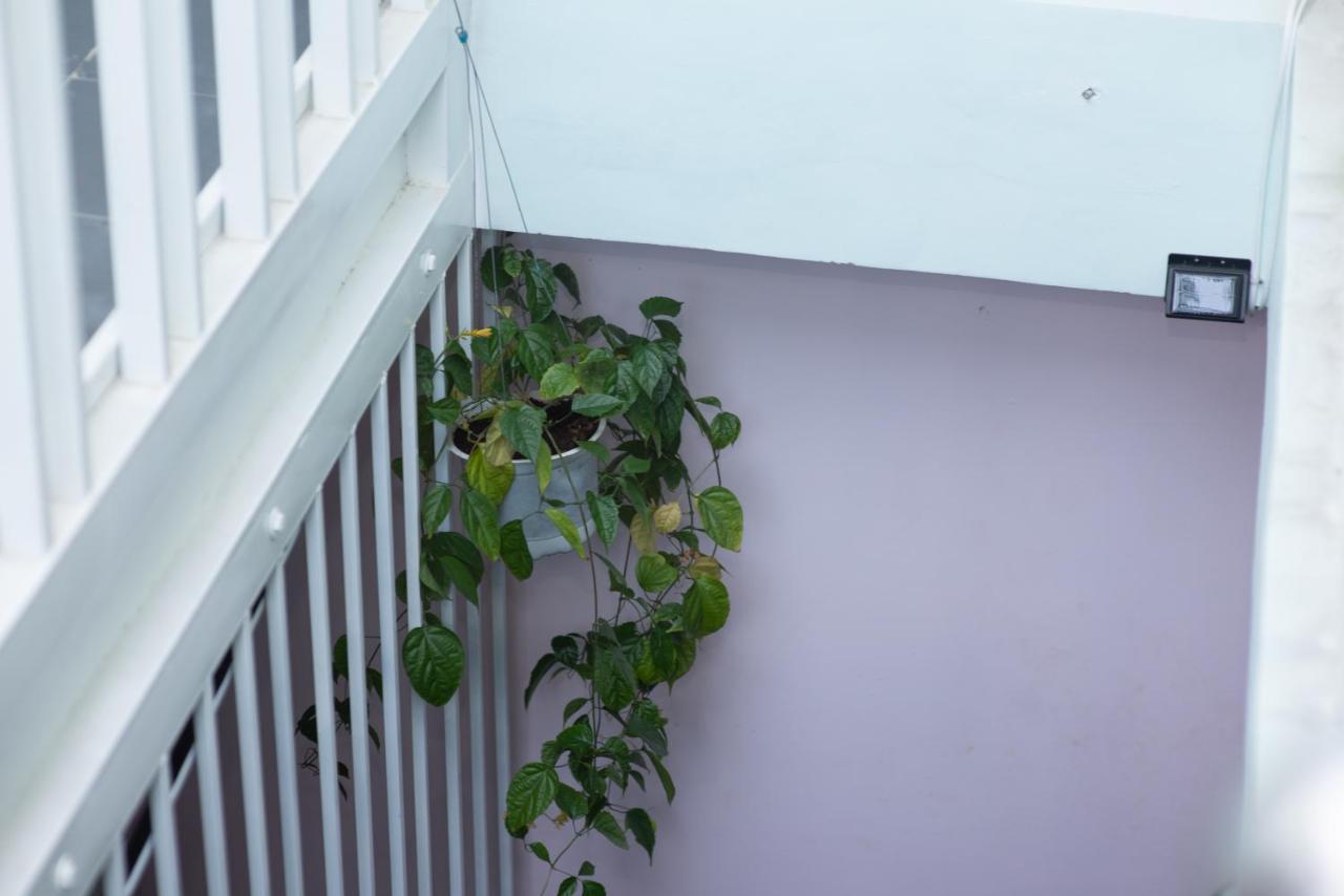 Megi Homestay Nha Trang Buitenkant foto